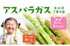 朝採りアスパラガス 1kg M ～ Lサイズ ハウス栽培 春芽 25年3月下旬 ～ 5月発送 【 先行予約 グリーンアスパラ 野菜 サラダ 農家直送 産地直送 】