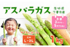 朝採りアスパラガス 1kg L ～ 2Lサイズ ハウス栽培 春芽 25年3月下旬 ～ 5月発送 【 先行予約 グリーンアスパラ 野菜 サラダ 農家直送 産地直送 】