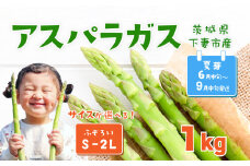 朝採りアスパラガス 1kg S ～ 2Lサイズ ( ふぞろい )  ハウス栽培 夏芽 25年6月下旬 ～ 9月発送 【 先行予約 グリーンアスパラ 野菜 サラダ 農家直送 産地直送 訳あり 不揃い ふぞろい 】