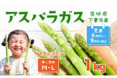 朝採りアスパラガス 1kg M ～ Lサイズ ハウス栽培 夏芽 25年6月下旬 ～ 9月発送 【 先行予約 グリーンアスパラ 野菜 サラダ 農家直送 産地直送 】