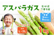 朝採りアスパラガス 1kg L ～ 2Lサイズ ハウス栽培 夏芽 25年6月下旬 ～ 9月発送 【 先行予約 グリーンアスパラ 野菜 サラダ 農家直送 産地直送 】