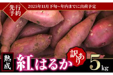 【 先行予約 】【 訳あり 】茨城県産 熟成さつまいも「 紅はるか 」 5kg 【 2025年11月下旬頃～年内までに出荷 】【 さつまいも 紅はるか 芋 サツマイモ 甘い 焼き芋 スイートポテト 茨城県産 大容量 不揃い ねっとり 】