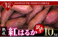 【 先行予約 】【 訳あり 】 茨城県産 熟成さつまいも 「 紅はるか 」 10kg 【 2025年11月下旬～年内までに出荷予定 】【 さつまいも 紅はるか 芋 サツマイモ 甘い 焼き芋 スイートポテト 茨城県産 大容量 不揃い ねっとり 】