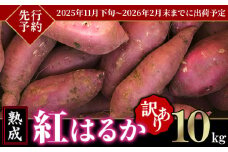 【 先行予約 】【 訳あり 】茨城県産 熟成さつまいも 「 紅はるか 」 10kg 【 2025年11月下旬～2026年2月末までに出荷予定 】【 さつまいも 紅はるか 芋 サツマイモ 甘い 焼き芋 スイートポテト 茨城県産 大容量 不揃い ねっとり 】