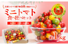 【 先行受付 】 ミニトマト 食べ比べセット 1kg ミニトマト 選手権 「 金賞 」 農家がつくる 【 10種以上 国産 旬 フルーツトマト 高糖度 カラフル 10000円以下 】