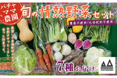 農園自慢の情熱野菜セット （ 7品 ）【 野菜 詰め合わせ お任せ 季節物 セット 山芋 パセリ わさび菜 ポップコーン かぶ 人参 里芋 たまねぎ 玉ねぎ ルッコラ ほうれん草 春菊 大根 芽キャベツ レタス じゃがいも さつまいも とうもろこし そら豆 枝豆 パクチー ビーツ ほうれん草 キャベツ ピーマン なすトマト かぼちゃ 】 