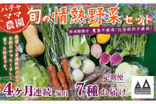 【 4ヶ月連続お届け 】 農園自慢の情熱野菜セット （ 7品 ）【 野菜 詰め合わせ お任せ 季節物 定期便 セット 山芋 パセリ わさび菜 ポップコーン かぶ 人参 里芋 たまねぎ 玉ねぎ ルッコラ ほうれん草 春菊 大根 芽キャベツ レタス じゃがいも さつまいも とうもろこし そら豆 枝豆 パクチー ビーツ ほうれん草 キャベツ ピーマン なすトマト かぼちゃ 】