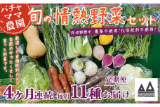 【 4ヶ月連続お届け 】 農園自慢の情熱野菜セット （ 11品 ）【 野菜 詰め合わせ お任せ 季節物 定期便 セット 山芋 パセリ わさび菜 ポップコーン かぶ 人参 里芋 たまねぎ 玉ねぎ ルッコラ ほうれん草 春菊 大根 芽キャベツ レタス じゃがいも さつまいも とうもろこし そら豆 枝豆 パクチー ビーツ ほうれん草 キャベツ ピーマン なすトマト かぼちゃ 】