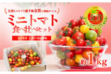 【 先行受付 】 ミニトマト 食べ比べセット 1kg ミニトマト 選手権 「 金賞 」 農家がつくる 【 10種以上 国産 旬 フルーツトマト 高糖度 カラフル 10000円以下 】