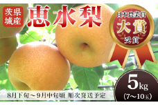 【 第１回全国梨選手権 最高金賞受賞‼ 】茨城県産 「 恵水 」 梨 約5kg 【 2025年8月下旬～9月中旬にかけて発送予定 】【 梨 恵水 なし フルーツ 果物 秋の味覚 デザート 茨城県産 甘い 選手権 最高金賞 】