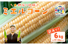【 訳あり 】下妻産 朝採りとうもろこし （ ミエルコーン ） 約6kg 【 とうもろこし とうきび トウモロコシ ジューシー 甘い 蜂蜜 はちみつ ミエル Miel スイーツ デザート ミエルコーン 人気 野菜 新鮮 おすすめ スイートコーン 】[SZR]