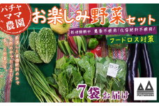 【 訳あり 】 お楽しみ野菜セット （ 7袋 ）【 フードロス対策 】【 野菜 詰め合わせ お任せ 訳あり フードロス 季節物 セット 山芋 パセリ かぶ 人参 里芋 たまねぎ 玉ねぎ ルッコラ ほうれん草 春菊 大根 芽キャベツ レタス じゃがいも さつまいも とうもろこし そら豆 枝豆 パクチー ビーツ ほうれん草 キャベツ ピーマン なすトマト かぼちゃ 】 