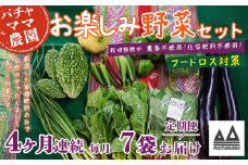 【 訳あり 】【 4ヶ月連続お届け 】 お楽しみ野菜セット （ 7袋 ）【 フードロス対策 】【 野菜 詰め合わせ お任せ 訳あり フードロス 季節物 セット 山芋 パセリ かぶ 人参 里芋 たまねぎ 玉ねぎ ルッコラ ほうれん草 春菊 大根 芽キャベツ レタス じゃがいも さつまいも とうもろこし そら豆 枝豆 パクチー ビーツ ほうれん草 キャベツ ピーマン なすトマト かぼちゃ 】 
