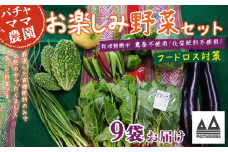 【 訳あり 】 お楽しみ野菜セット （ 9袋 ）【 フードロス対策 】【 野菜 詰め合わせ お任せ 訳あり フードロス 季節物 セット 山芋 パセリ かぶ 人参 里芋 たまねぎ 玉ねぎ ルッコラ ほうれん草 春菊 大根 芽キャベツ レタス じゃがいも さつまいも とうもろこし そら豆 枝豆 パクチー ビーツ ほうれん草 キャベツ ピーマン なすトマト かぼちゃ 】 