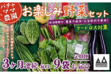 【 訳あり 】【 3ヶ月連続お届け 】 お楽しみ野菜セット （ 9袋 ）【 フードロス対策 】【 野菜 詰め合わせ お任せ 訳あり フードロス 季節物 セット 山芋 パセリ かぶ 人参 里芋 たまねぎ 玉ねぎ ルッコラ ほうれん草 春菊 大根 芽キャベツ レタス じゃがいも さつまいも とうもろこし そら豆 枝豆 パクチー ビーツ ほうれん草 キャベツ ピーマン なすトマト かぼちゃ 】 