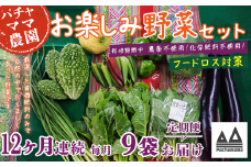 【 訳あり 】【 12ヶ月連続お届け 】 お楽しみ野菜セット （ 9袋 ）【 フードロス対策 】【 野菜 詰め合わせ お任せ 訳あり フードロス 季節物 セット 山芋 パセリ かぶ 人参 里芋 たまねぎ 玉ねぎ ルッコラ ほうれん草 春菊 大根 芽キャベツ レタス じゃがいも さつまいも とうもろこし そら豆 枝豆 パクチー ビーツ ほうれん草 キャベツ ピーマン なすトマト かぼちゃ 】 