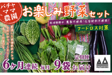 【 訳あり 】【 6ヶ月連続お届け 】 お楽しみ野菜セット （ 9袋 ）【 フードロス対策 】【 野菜 詰め合わせ お任せ 訳あり フードロス 季節物 セット 山芋 パセリ かぶ 人参 里芋 たまねぎ 玉ねぎ ルッコラ ほうれん草 春菊 大根 芽キャベツ レタス じゃがいも さつまいも とうもろこし そら豆 枝豆 パクチー ビーツ ほうれん草 キャベツ ピーマン なすトマト かぼちゃ 】 