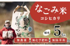 【10月発送】茨城県下妻市産 なごみ米（ コシヒカリ ） 精米 5kg 【 お米 コシヒカリ 米 無農薬 無化学肥料 無除草剤 精米 自然 農法 茨城県産 】
