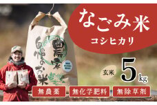 【10月発送】茨城県下妻市産 なごみ米（ コシヒカリ ） 玄米 5kg　【 お米 コシヒカリ 米 無農薬 無化学肥料 無除草剤 玄米 自然 農法 茨城県産 】