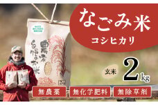 【10月発送】茨城県下妻市産 なごみ米（ コシヒカリ ） 玄米 2kg　【 お米 コシヒカリ 米 無農薬 無化学肥料 無除草剤 玄米 自然 農法 茨城県産 】