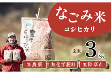 【12月発送】茨城県下妻市産 なごみ米（ コシヒカリ ） 玄米 3kg　【 お米 コシヒカリ 米 無農薬 無化学肥料 無除草剤 玄米 自然 農法 茨城県産 】