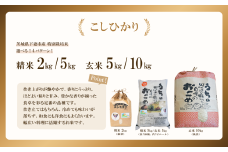 【 11月出荷 】令和7年産 新米 茨城県産 特別栽培米・こしひかり 玄米 10kg （ 紙袋 ）