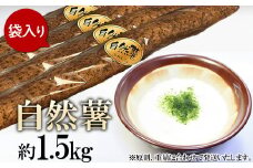 自然薯 約1.5kg ( カット済 )【 ※ 重量 （ 約1.5kg ）に合わせてお届け 】【 2025年12月～2026年3月ごろ発送予定 】【 山芋 やまいも とろろ 人気 おすすめ 自然薯 ごはん 米 蕎麦 】