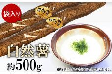 自然薯 約500g ( カット済 )【 ※ 重量 （ 約500g ） に合わせてお届け 】【 2025年12月～2026年3月ごろ発送予定 】【 山芋 やまいも とろろ 人気 おすすめ 自然薯 ごはん 米 蕎麦 】