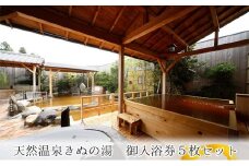 常総市 ふるさと御入浴券 ( 5枚 セット)  天然 温泉 源泉 掛け流し チケット 湯 券