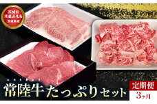 【茨城県共通返礼品】茨城県産【定期便】常陸牛 たっぷりセット 3ヶ月連続 定期便 お肉 牛肉