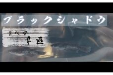 下総めだかの学校厳選！ブラックシャドウ　2ペア4匹 生き物 鑑賞