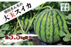 【先行予約・6月中旬以降発送】増田さんちの大玉スイカ 1玉 約5.5kg ※沖縄・離島への配送不可 ※2025年6月中旬～7月初旬頃に順次発送予定 | すいか スイカ 大玉 甘い 常総市
