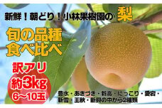 【訳アリ！先行予約】小林果樹園の梨 6～10玉 約3kg｜朝どり みずみずしい 梨 なし ナシ フルーツ 果物 豊水 あきづき 新高 にっこり 愛宕 新雪 王秋 新興 常総市