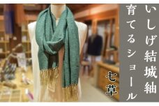 【いしげ結城紬】結城紬　育てるショール　七草