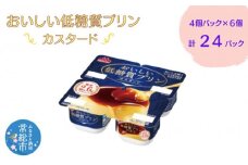 おいしい低糖質プリンカスタード４個パック×6 計24P 低糖質 プリン カスタード