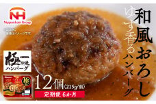 【定期便】極み焼きハンバーグ（和風おろしソース）セット定期便6か月 定期便 ※沖縄県・離島への配送不可