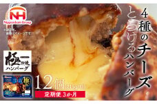 【定期便】極み焼きハンバーグ（4種のチーズソース）セット定期便3か月 定期便 ※沖縄県・離島への配送不可