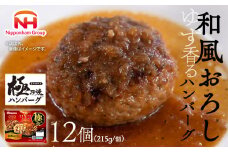 極み焼きハンバーグ（和風おろしソース）セット 加工食品 惣菜 レトルト ※沖縄県・離島への配送不可