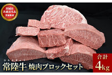 【茨城県共通返礼品】茨城県産【常陸牛】焼肉ブロックセット（合計 4kg）