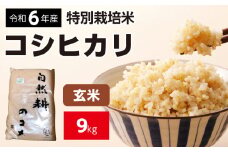 新米【令和六年産】特別栽培米コシヒカリ9kg（4.5kg×2袋）玄米 お米 ブランド米 ライス 炭水化物 ご飯 主食 食卓 おにぎり お弁当 ミネラル米 こしひかり ごはん こめ コメ 産地直送 国産 茨城県産 常総市 運動会 アウトドア キャンプ