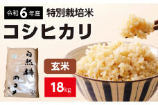 新米【令和六年産】特別栽培米コシヒカリ18.0kg（4.5kg×4袋）玄米 お米 ブランド米 ライス 炭水化物 ご飯 主食 食卓 おにぎり お弁当 ミネラル米 こしひかり ごはん こめ コメ 産地直送 国産 茨城県産 常総市 運動会 アウトドア キャンプ