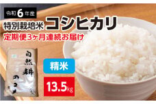 【定期便】定期便3ヶ月連続お届け 令和六年産特別栽培米コシヒカリ4.5kg 精米 合計13.5kg｜精米 お米 ブランド米 ライス 炭水化物 ご飯 主食 食卓 おにぎり お弁当 ミネラル米 こしひかり ごはん こめ コメ 産地直送 国産 茨城県産 常総市 運動会 アウトドア キャンプ