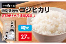 【定期便】定期便3ヶ月連続お届け 令和六年産特別栽培米コシヒカリ9kg 精米 合計27kg｜精米 お米 ブランド米 ライス 炭水化物 ご飯 主食 食卓 おにぎり お弁当 ミネラル米 こしひかり ごはん こめ コメ 産地直送 国産 茨城県産 常総市 運動会 アウトドア キャンプ