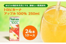 トロピカーナ 100％ アップル 250mlLLスリム×24本 【ジュース 飲料 フルーツ 紙パック 贈答品 贈り物 】
