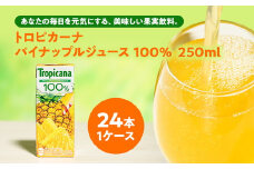 トロピカーナ 100％ パインアップル 250ml LLスリム ×24本【ジュース 飲料 フルーツ 紙パック 贈答品 贈り物 】