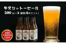 【茨城県共通返礼品】牛久市産 牛久シャトービール3種類（6本セット）