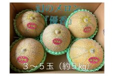 【先行予約】令和7年 優香メロン 3～5玉（約5kg）甘くてジューシーなメロン 幻の優香メロンです！ 中々市場では出回らない稀少な品種です♪ めろん 常総市 フルーツ 果物 ※2025年6月中旬～6月下旬頃に順次発送予定 ※沖縄・離島への配送不可
