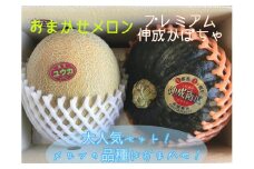 【先行予約】数量限定 令和7年 訳あり プレミアム伸成かぼちゃ・メロン（品種おまかせ） ※2025年7月中旬～7月下旬頃に順次発送予定 ※沖縄・離島への配送不可