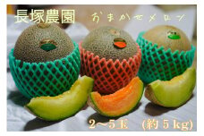 【先行予約】令和7年 おまかせメロン（品種：タカミメロン・ホノカメロン・優香メロン） 2～5玉（約5kg）｜ 数量限定 セレクトグリーン ロイヤルレッドメロン ジューシー 香り フルーツ 果物 ※2025年6月中旬頃より順次発送予定 ※沖縄・離島への配送不可