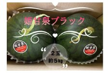 【先行予約】 令和7年 姫甘泉 ブラック 小玉すいか 2玉 ｜ スイカ こだま 常総市 ※2025年8月上旬～9月上旬頃に順次発送予定 ※沖縄・離島への配送不可